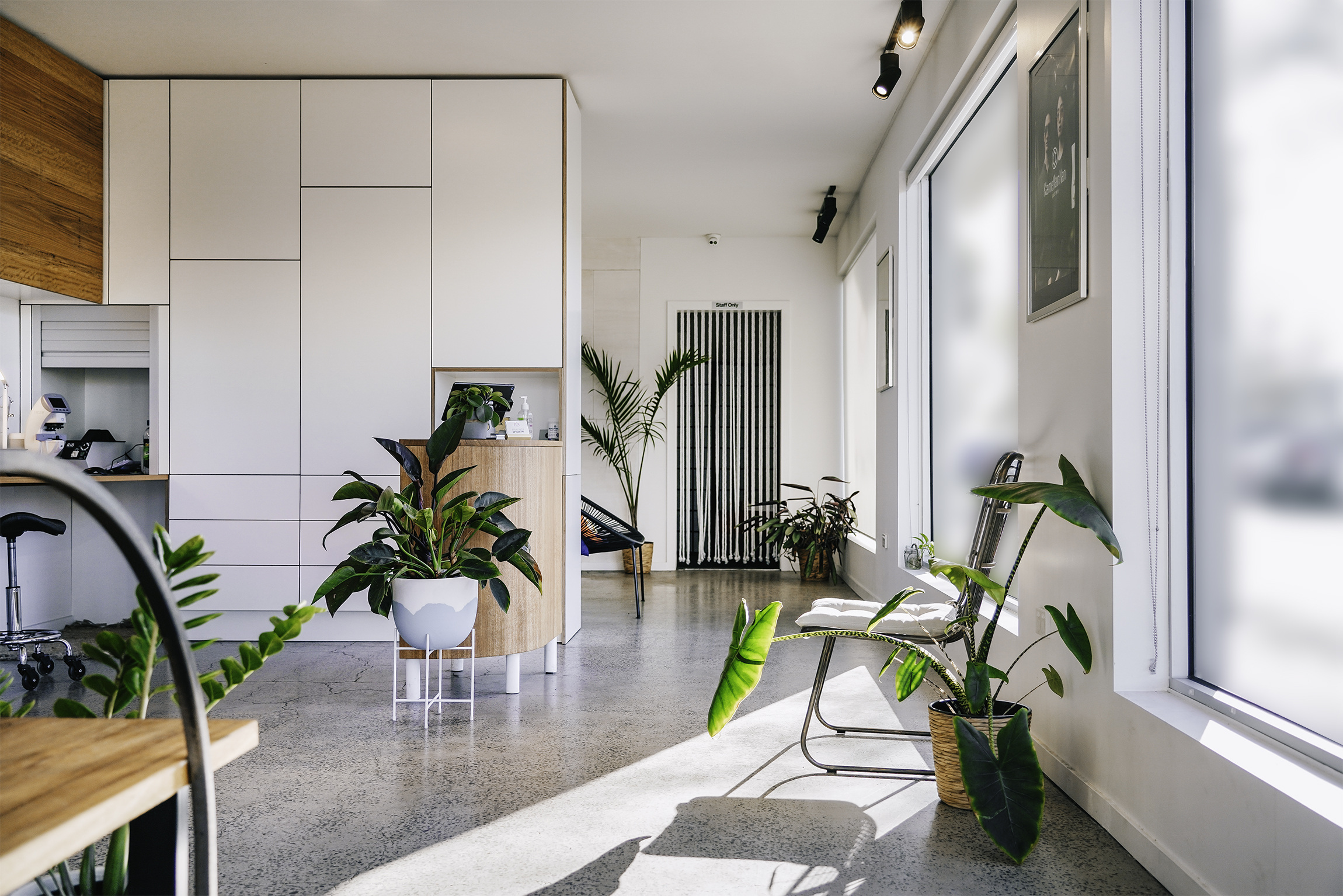 A minimalist store interior, with concrete and timber finishes, bright light and greenery